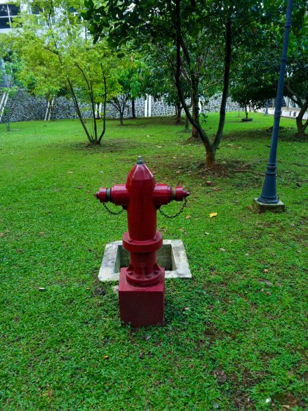 Ground Hydrant Installation in Bentonville
